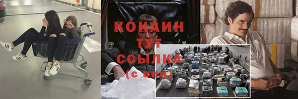 прущие крисы Белоозёрский