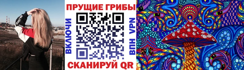 Галлюциногенные грибы Psilocybe  Купить закладки  Зима 